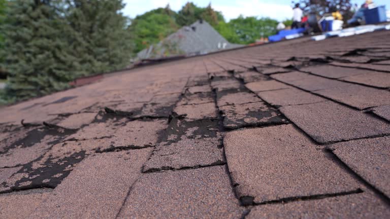 Best Asphalt Shingle Roofing  in Gary, IN