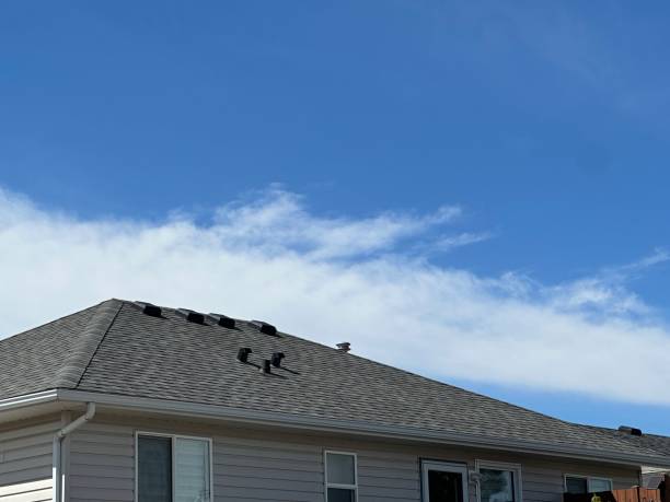 Best Emergency Roof Repair Services  in Gary, IN